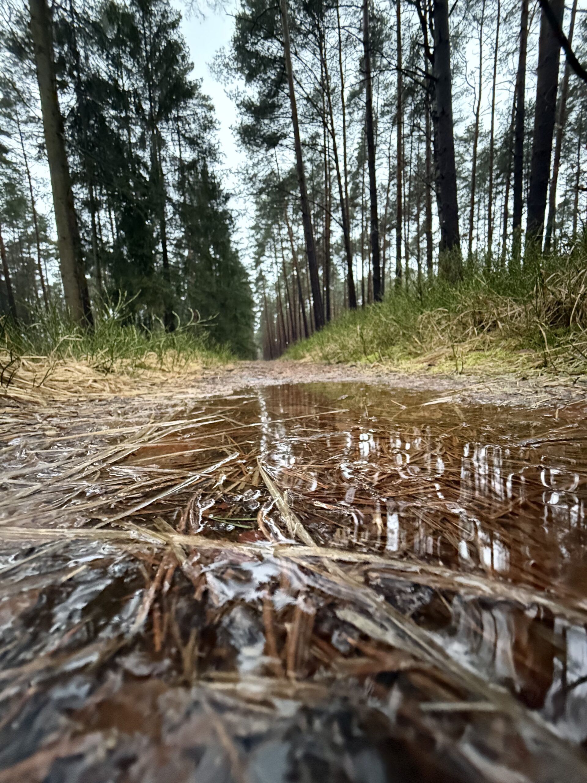 Der Selbstwert steigt