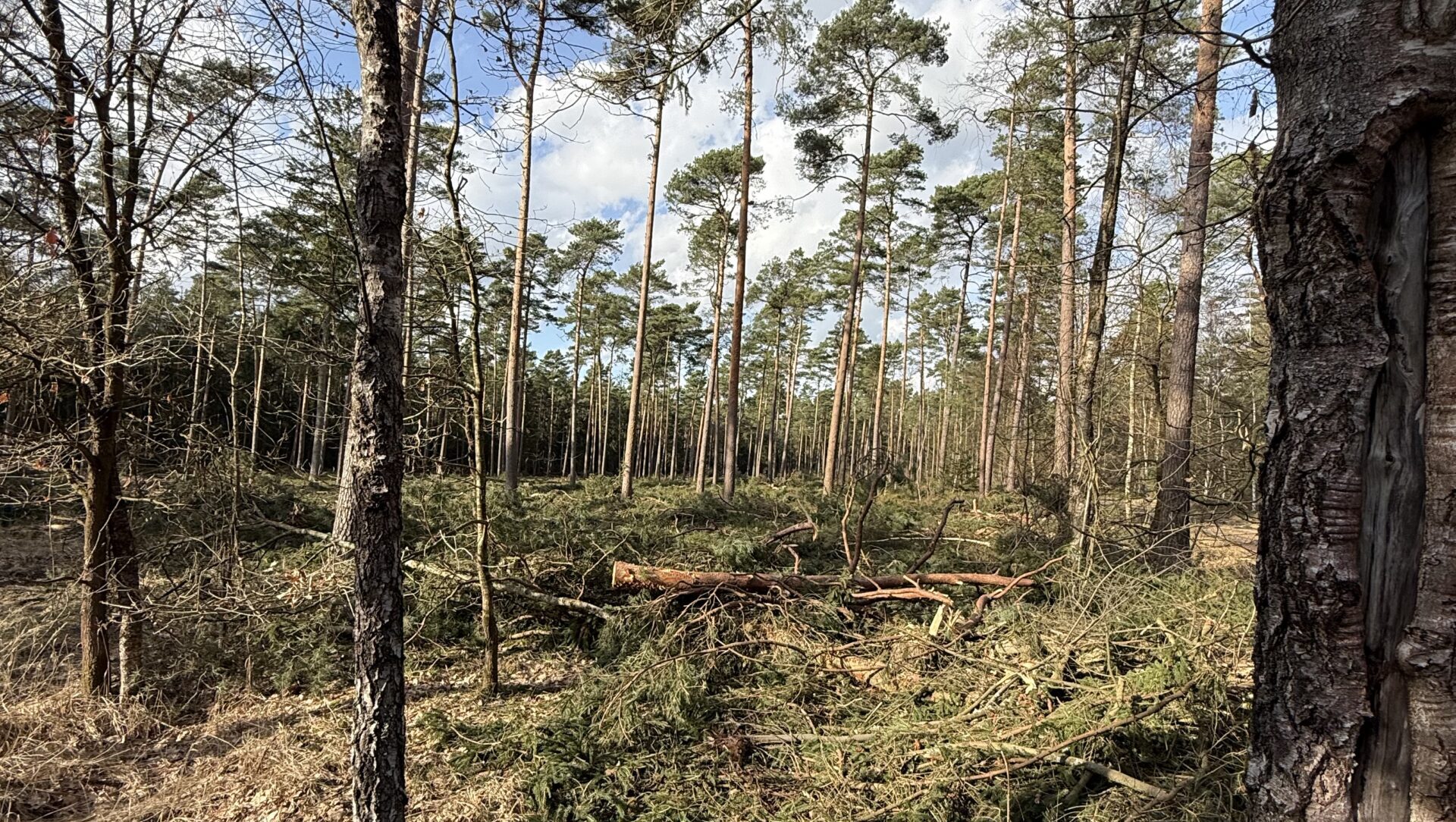 Neue Türen öffnen sich